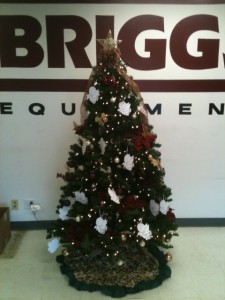 The Briggs Angel Tree, sponsor an angel tree of your own and help fight Sarcoma.