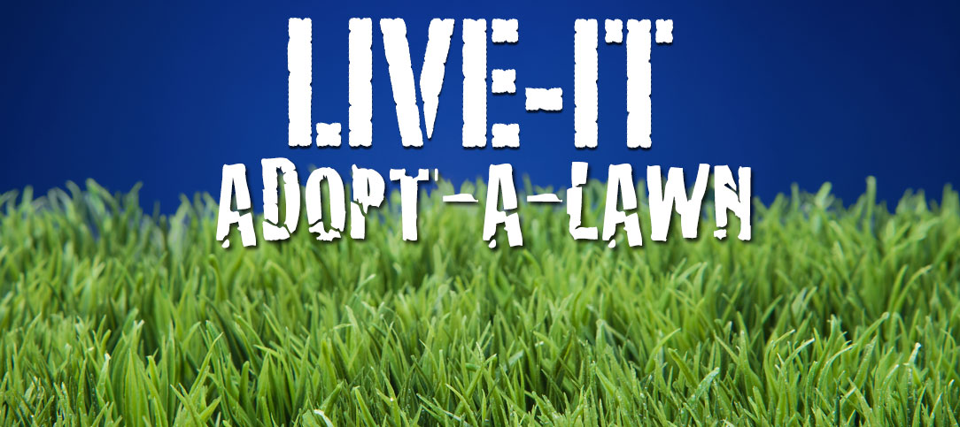 Adopt-a-Lawn: Adopt yours NOW!