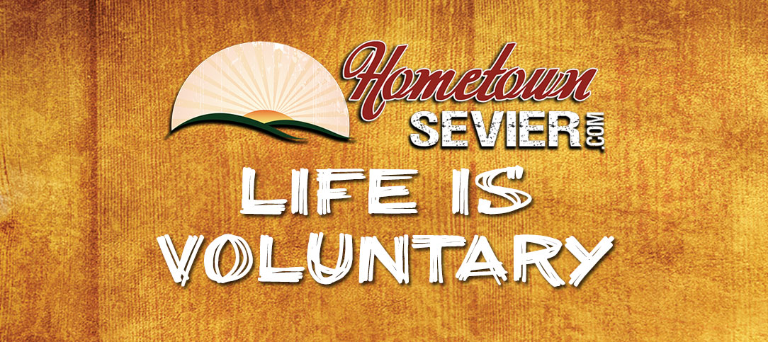 Life is Voluntary: More Than I Deserve
