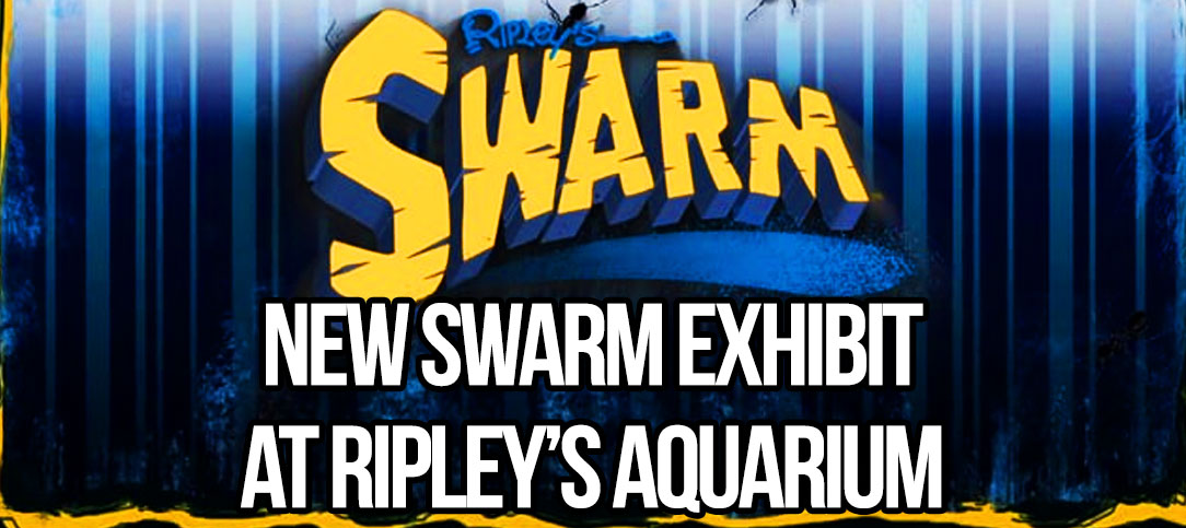 2015 New Swarm Exhibit at Ripley’s Aquarium of the Smokies