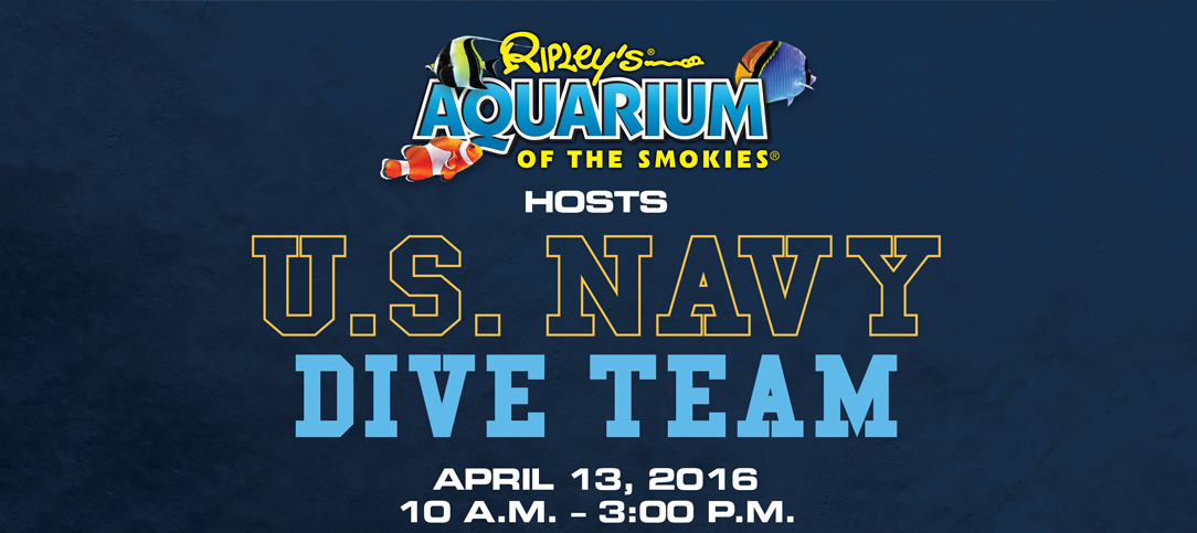 Navy Divers and EOD Technicians to Descend on Knoxville  for Navy Week!