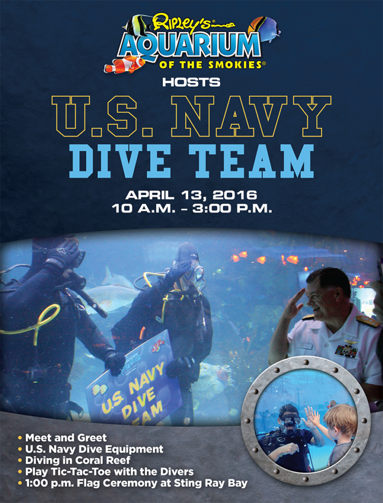 Ripleys_DiveTeam_Flyer