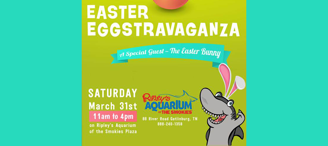 Easter Eggstravaganza on the Plaza at Ripley’s Aquarium of the Smokies