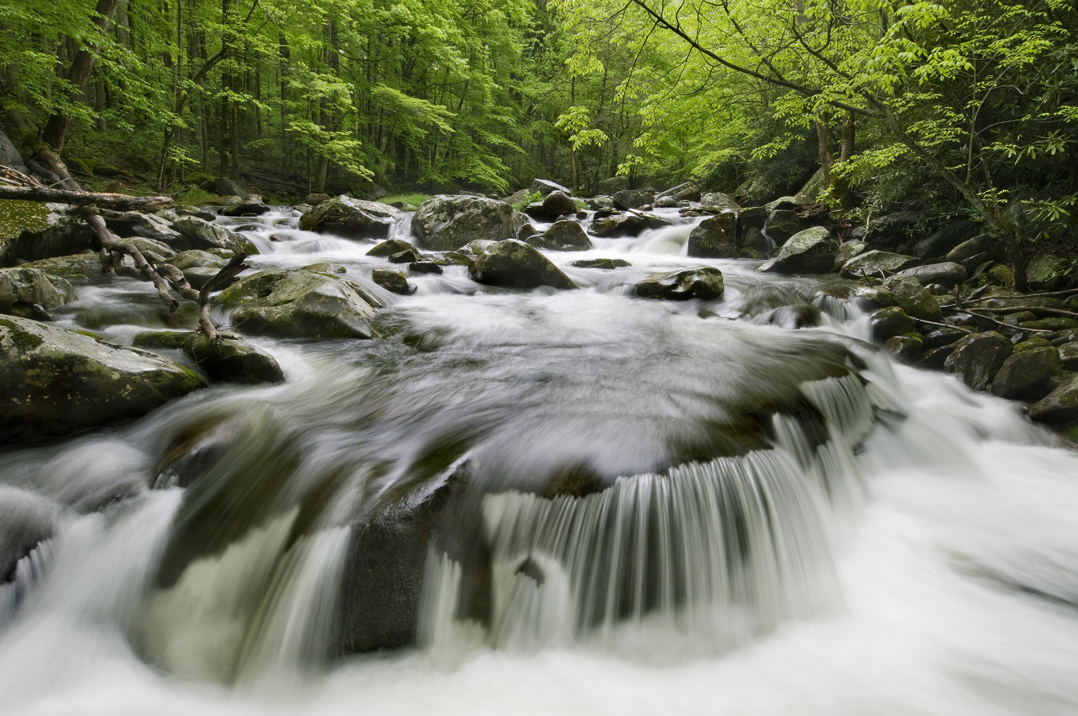 Great Smoky Mountain National Park Resumes Full Operations
