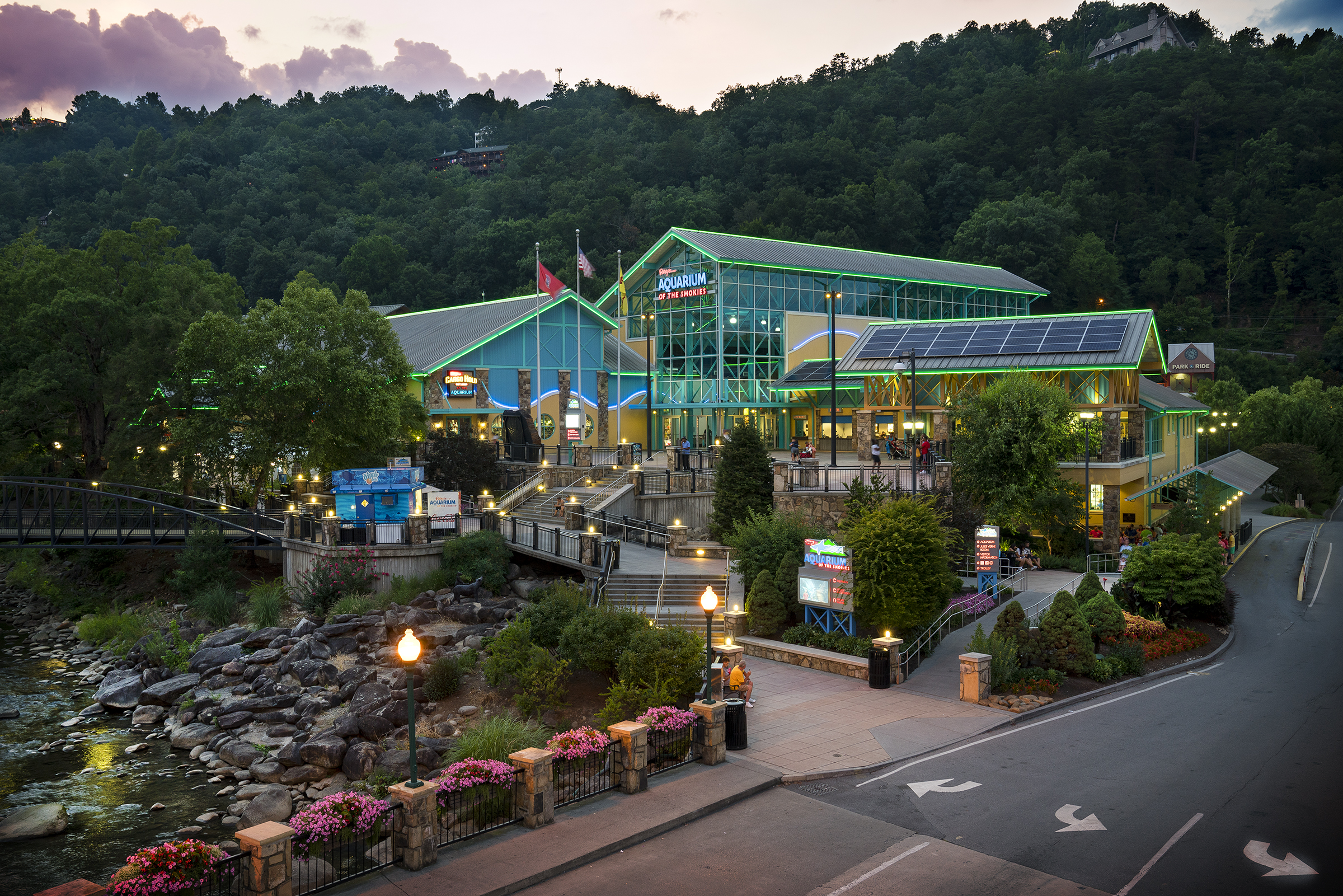 Vote for Ripley’s Aquarium of the Smokies for Best Aquarium!