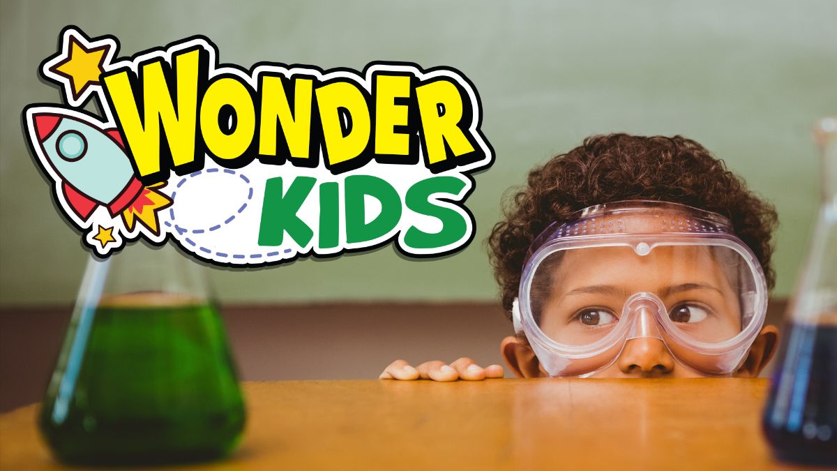 WonderWorks Pigeon Forge Now Accepting Nominations for Inaugural WonderKids Program