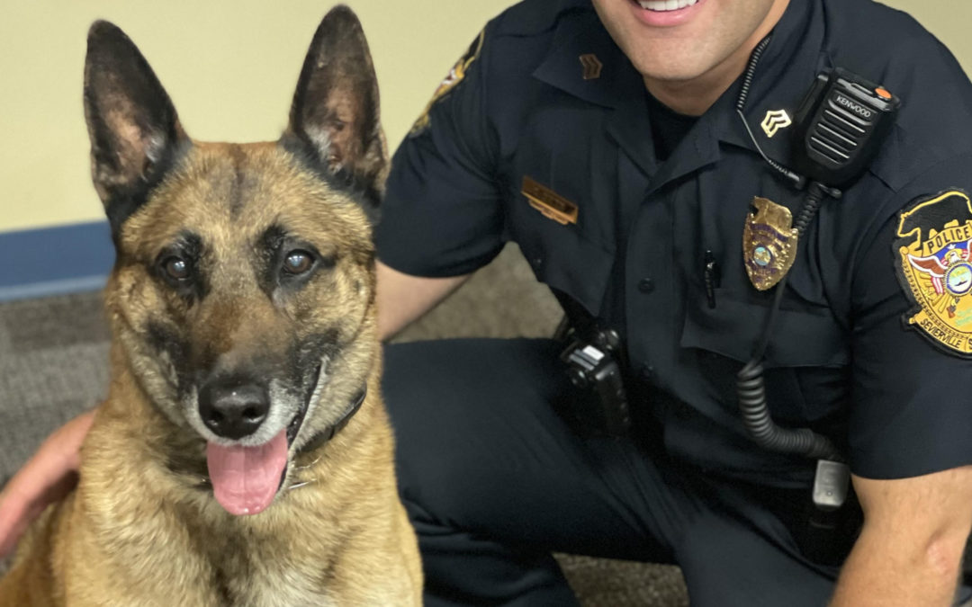 SPD Celebrates the Retirement of K-9 Officer Blitz